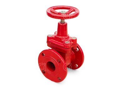 Задвижка Ci 30ч39р 50 с обрезиненным клином В Иркутске