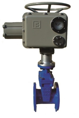 Задвижка с обрезиненным клином фланцевая ABRA с электроприводом Regada В Иркутске